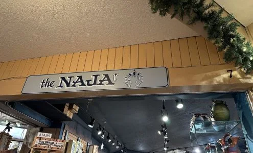 The Naja business photo